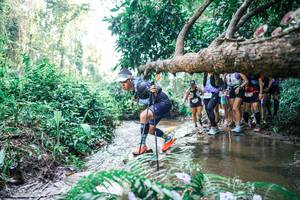 BIB: 
                            <button type="button" onclick="openModal(25466707)" class="btn btn-primary btn-sm float-right btn-popup" data-toggle="modal" data-target=".modal-high-quality">
                        <i class="fas fa-shopping-cart"></i> Add to Cart
                    </button>
                                            <button type="button" onclick="isThisMe(25466707, true)" class="btn btn-success btn-sm float-right btn-popup btn-isme hidden" data-toggle="tooltip" data-placement="bottom" title="นี่คือรูปของคุณใช่ไหม คลิกที่นี่เพื่อเอาเข้าอัลบั้ม">
                        <i class="fas fa-plus"></i> Add to album
                    </button>
                    <button type="button" onclick="isThisMe(25466707, false)" class="btn btn-warning btn-sm float-right btn-popup btn-isnotme hidden">
                        <i class="fas fa-ban"></i> Remove from album
                    </button>